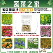 【蔬菜之家】冬季可栽培花卉種子系列(各包裝數量詳見內文及圖片)魯冰花 波斯菊 蜀葵 金盞花 醉蝶花 鼠尾草..等