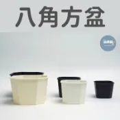 🌵✧植得栽✦【八角方盆】 多肉植物 仙人掌專用花盆 草花盆 塑膠花盆 多肉盆 花盆 資材 質感盆 盆栽