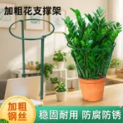 好貨優選🏆 收攏架 支撐桿 固定器 花支撐架花架支撐桿爬藤植物固定架陽臺花架鐵藝金錢樹護葉架園藝