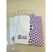 《多款可選》全新/二手-新光三越/百貨紙袋-遠東SOGO-購物袋-禮品袋