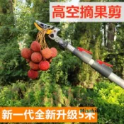 新伸縮高空摘果神器高空摘果剪 摘荔枝枇杷龍眼 黃皮柿子高枝剪-Misaki精品
