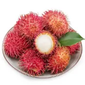 原裝保真（紅毛丹種子）毛荔枝約10粒種子 稀有品種 多年生四季播種高產水果種子獨立包裝