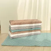 (店+)【Warm House Decor 暖和家居】加厚全棉吸水地墊45x75cm 浴室吸水地墊 (浴室地墊 吸水地墊 純棉地墊 可機洗地墊)