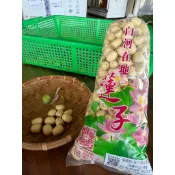 台南白河在地新鮮蓮子（檢驗合格）