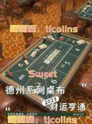 【可開統編】德州撲克籌碼 皮革桌布桌墊 棋牌室長方形墊麻將臺墊 百家樂桌遊臺布
