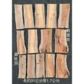 台灣櫸【紅雞油】原木木片/藝品陶藝擺設底座/置物板/木質墊片/雕刻裝飾用材/鹿角蕨蘭類栽植板