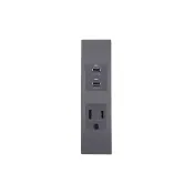 【易智快充】國際牌Panasonic省空間兩孔面板－灰色(50W USB快充插座+AC三孔安全插座)