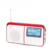 現貨 樂果r909可攜式插卡音箱收音機廣播低音炮數字按鍵大屏