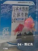 (瓶蓋) 04 - 霓虹燈魚 - 日本水族館立体生物圈鑑