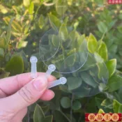 🌸台灣出貨🌸diy手工繪畵咕卡貼紙迷你透明扇空白mini娃用小朋友小扇子幼兒園