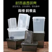 【楊媽媽兩棲】【飼養盒 爬蟲盒 飼養箱 烏龜盒】可疊透氣 爬蟲箱 昆蟲 烏龜 守宮 角蛙 烏龜 昆蟲盒 蜘蛛 蠍子 澤龜