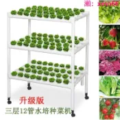 寶承齊百貨 【店長推薦】水培管道式蔬菜種菜機無土栽培設備自動化多層水耕種植架魚菜共生