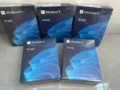 三和電腦配件店 Windows10 Windows11 專業版彩盒包裝 正版U盤安裝 含序號 一機一號 可重裝 支援【微軟批發零售】