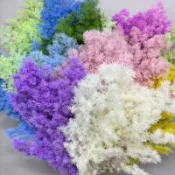 ⚡️台灣出貨⚡️永生蓬萊松 煙花花束材料 短枝長枝 手工材料花藝花束插花搭配C