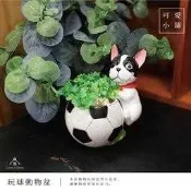 （台中 可愛小舖）田園鄉村風動物系列多款玩球狗狗花器可愛庭院小盆多肉植物排水孔洞造景擺飾小花盆盆器盆栽花店庭園花圃用