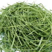 【芳香牧草】兔類排毛萌寵牧草 已過篩甜小麥草燕麥草苜蓿提摩西一割二割百慕達科學配比天竺鼠豚鼠龍貓牛羊馬陸龜牧草