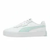 ACS跨運動 Puma 休閒鞋 Carina 3.0 女鞋 白 綠 皮革 復古 餅乾鞋 400365-12