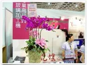 蝴蝶蘭花組合盆栽鴻圖大展.參展.會場.展出成功祝賀訂單滿載
