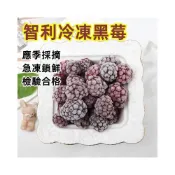(店+)智利冷凍黑莓 1kg/包 檢驗合格 無須清洗 鮮凍水果 冷凍水果蔬果 綜合莓果飲 冷凍藍莓 蔓越莓 冷凍超取