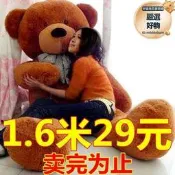 满300出貨大熊毛絨熊1.8米大號公仔2米布娃娃生日禮物送女友抱枕女露天市集全臺最大的網路購物市集露天市