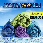 【涼感巾】新款雙色雙層冰凉巾 3D蜂巢孔 魔幻冰涼巾 夏天防暑冰涼巾 瞬間冷感毛巾 運動毛巾 涼感毛巾 清涼毛巾