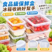 【桃園發貨+免運】便攜式食品級保鮮盒冰箱水果蔬菜收納盒冷凍密封盒野餐連蓋保鮮盒FXI