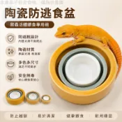 陶瓷防逃食盆 鬃獅守宮碗 蜘蛛爬蟲食器 活體麵包蟲專用 防越獄設計 易清潔飼料盆