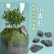 點綴微景觀專用【5顆一組X微縮山林】微景觀 生態瓶 小青石 5顆/組 假山 造景石 造景缸 苔蘚 石頭 小石頭 苔蘚瓶