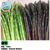蘆筍種子 綠蘆筍 現採蔬菜種子 可食用香草 家庭菜園必備 陽台盆栽蔬菜 有機栽種 四季蔬菜  多年生植物 自種安心