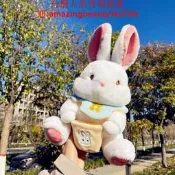 新款小兔仙公仔抱枕毛絨玩具布娃娃玩偶兒童女生抓娃娃機禮物批發