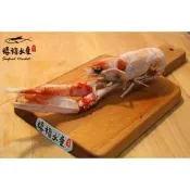 【禧福水產】獨家愛爾蘭生食角蝦/蝦刺身生魚片L1/大◇$特價1099元500g◇最低價法國料理鐵甲蝦海螯蝦鐵蝦居酒屋餐廳