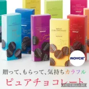 ☘️預購✅好吃☘️日本 北海道 ROYCE 巧克力 20入 40入 瓦楞巧克力片 波浪巧克力片 純巧克力 北海道 伴手禮