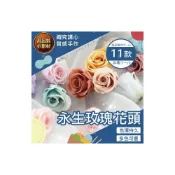 (店+)【隔日送達🚀】永生玫瑰花頭 乾燥花材 乾燥花 不凋花 永生花 玫瑰花束配草  DIY乾燥花  迷你小花 拍攝道具