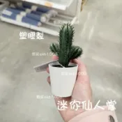 現貨 IKEA 假盆栽 迷你仙人掌 仙人掌 人造盆栽附花盆 室內/戶外用