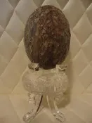 個人早年珍藏天然芋頭石原礦擺件/天然金紋石恐龍蛋/樹皮石/芋頭石/億萬千年化石/罕見石礦沒有處理過
