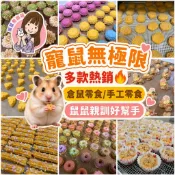 ✔️【寵鼠無極限】多種倉鼠零食 親訓鼠鼠好幫手 (倉鼠零食、倉鼠點心、三線鼠、黃金鼠、布丁鼠、倉鼠磨牙、倉鼠果蔬粉)