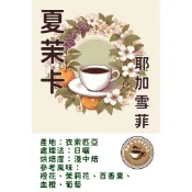 [R&A Coffee]強豆來襲-8月最新到港 衣索匹亞-夏茉卡 耶加雪菲 下單就送熱門試喝豆