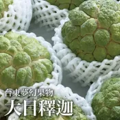 【十翼饌選果】台東夢幻果物-大目釋迦5斤(常溫出貨)