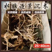 【魚匠水族】水族造景沉木 ●水族裝飾品 沉木 杜鵑木 沉木造景 水草造景 杜鵑根 水族箱造景水族沉木沈木天然造景水草沈木