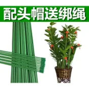 協貿國際日用品生活2館 金錢樹支架蔬菜瓜果爬藤架花卉藤蔓植物支撐桿護葉花架扶枝鐵立柱