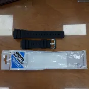 附發票實體店面G-SHOCK 卡西歐 CASIO 正品原廠錶帶 DW-5600E DW-5600BB DW-5600MS