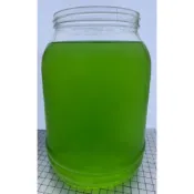 綠藻水、小綠球藻水、綠水、濃綠水、淡水藻（水蚤、米蚤、圓蚤、球蚤食物）、孔雀魚苗開口餌