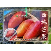 紅西施芒果 請先洽詢 水蜜桃芒果 紅象牙芒果 海頓 樹苗 盆栽 嫁接苗 芒果苗 金煌芒果 玉文 紅龍 愛文 香蕉芒果