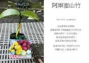 心栽花坊-阿庫蜜山竹/山竹品種/4吋/嫁接苗/水果苗/售價2000特價1500