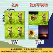 沖洗相片 4up、 2X3“、小2x3“ |放皮夾照片 | 偶像小卡 |紀念小卡|特殊尺寸|快速出貨|沖洗相片|