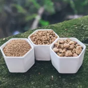 (店+)【綠色山嵐】茨城燒赤玉 赤玉土 多肉介質 多肉土 松柏盆栽用 睡蓮 碗蓮用土 多肉植物鋪面 觀葉植物介質 綠色山嵐