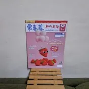 二手書常春藤解析英語202408中級-中高級