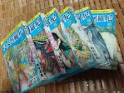 不二書店  早期台版薄本漫畫 尼羅河女兒(11-20) 集英漫畫 有釘(廉2)