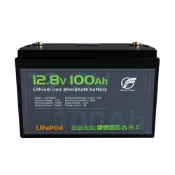 風鈴草百貨 【高容量儲能】鋰電池 房車電源 12V 24V 100Ah 磷酸鐵鋰 長效耐用 環保輕盈 車用電源替代方案