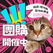 批發商 貓舍 寵物用品店 批發價 20公斤包裝免運費 貓砂 松木貓砂 木屑砂 砂盆 貓砂 崩解型 除臭